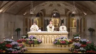 The Sunday Mass - The Solemnity of the Most Holy Trinity - June 16, 2019