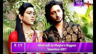 How Megha and Mohan of 'Na Bole Tum Na Maine Kuch Kaha' celebrated Valentine's Day.!!