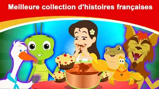 Meilleure collection d'histoires françaises | Histoire Pour S'endormir | Contes De Fées | Histoire