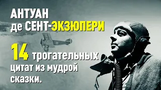 "Маленький принц": трогательные цитаты из мудрой сказки Антуана де Сент-Экзюпери