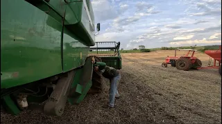 Terceiro dia de colheita e já quebramos a maquina (roçavlog)