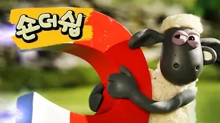 까치 - 숀 더쉽 [Shaun the Sheep Korea | Full Episode]