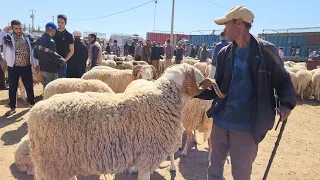 انخفاض اتمنة حولي في سوق الأسبوعي بركان hawli berkane morocco