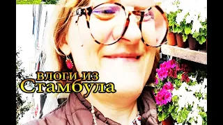 Сходили пешком с Октайчиком а вначале цветочки @tatyanaobukhova #влог Турция