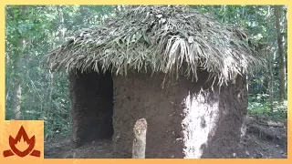Primitive Technology: Palm Thatched Mud Hut