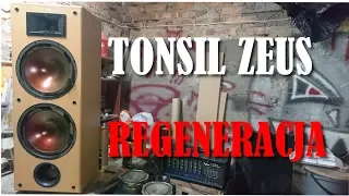 TONSIL ZEUS - REGENERACJA - GDN 30/120 - Kameleon