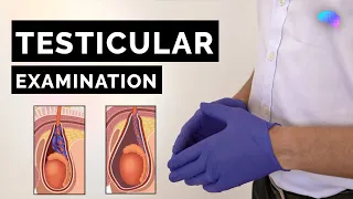 Testicular Examination - OSCE Guide | UKMLA | CPSA