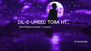 Dil E Umeed Tora Hai Kisi Ne | [Slowed+Reverb] |sad songs||urdu/hindi songs