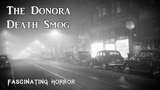 The Donora Death Smog | A Short Documentary | Fascinating Horror