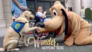 Disney Parks & Resorts TV Commercial, 'Wonder Happens Here'