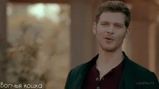 Клаус и Стайлз || Klaus & Stiles • Нитями