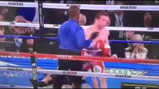 Amir Khan gets knocked out by Canel Alvarez in 6th round