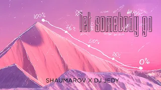 SHAUMAROV, DJ JEDY - Let Somebody Go (Mood video)