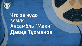 Давид Тухманов. Что за чудо земля. Ансамбль "Маки" (1987)