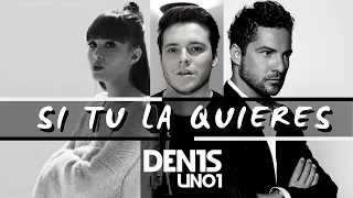 Si Tú la quieres - David Bisbal Ft Aitana (Cover DEN1S)