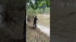 Most Satisfying Cast Net Fishing Video Catch Tons of Fish Traditional Net Catch Fishing on River