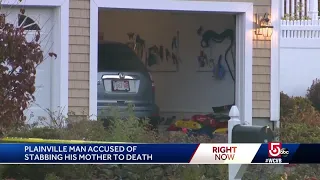 Man accused of stabbing mother to death