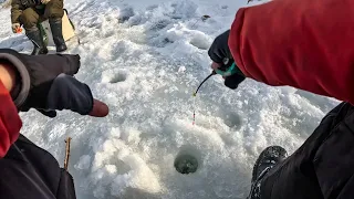 Я их НАШЁЛ и ВАМ ПОКАЖУ! ВОТ это ОНИ ДАВЯТ! Рыбалка на безмотылку зимой в 2024