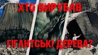 ГІГАНТСЬКІ ДЕРЕВА. Хто вирубав 96% дерев на планеті? Таємниці минулого