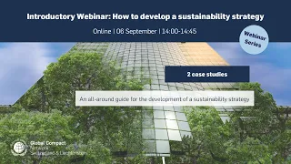 Introductory Webinar: How to develop a sustainability strategy