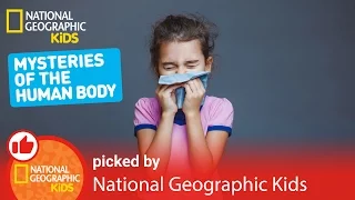 The Mysteries of the Human Body | Nat Geo Kids Mysteries of the Human Body Playlist