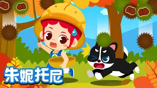 秋天来了 | 季节儿歌 | 丰收的季节到了，大家喜欢秋天吗？ | Kids Song in Chinese | 儿歌童谣 | 卡通动画 | 朱妮托尼童话音乐剧