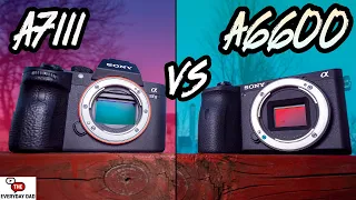 Sony A6600 VS Sony A7III | Can YOU Get More for Less?!