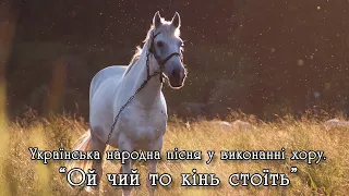 "Ой чий то кінь стоїть". Українська народна пісня. Виконує хор.