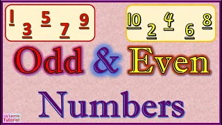 ODD and EVEN Numbers  ||  What are odd & even numbers?  ||  Liy Learns Tutorial
