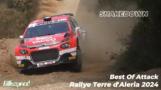 Shakedown Rallye Terre D'Aleria 2024 - Attack