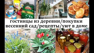 Влог для мотивации и вдохновения! Работы в саду!Вкусные рецепты! Гостинцы от мамы!Покупки!