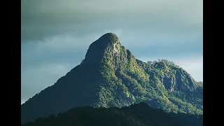 Hidden Villages of the Volcano: Journey Walks in the Byron Bay Hinterland