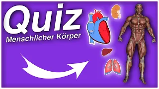 Quiz Menschlicher Körper - 10 Fragen #Quiz