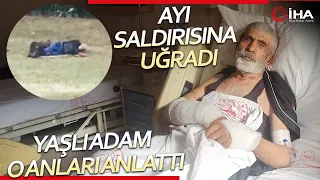 Artvin'de Ayının Saldırdığı Yaşlı Adam O Anları Anlattı