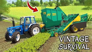 FINISHING THE BEET | Vintage Survival - Episode 23