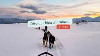 Faire du chien de traîneau à Tromsø