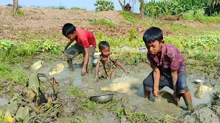 Best Fishing Video | Traditional Carp Fish Catching In Mud Water Pond | Fishing By Hand