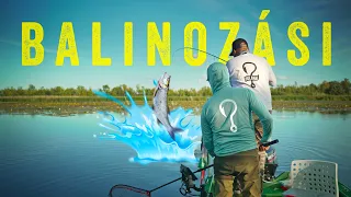 Holahal? 44 Tisza-tavi balinozás - csalik, technikák, tuti tippek