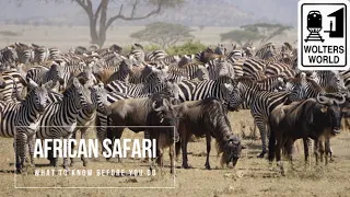 Safari Travel: What to Know Before You Go on an African Safari