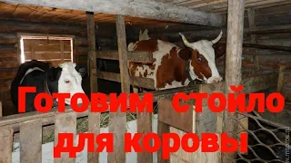 Стойло у коровы.Готовим новой корове подиум! Размеры и стойло в готовом виде.