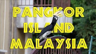 Pangkor Island, Malaysia: AWESOME! -- and then some!