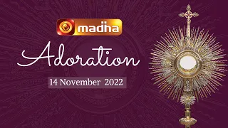 🔴 LIVE 14 November  2022 Adoration 11:00 AM | Madha TV