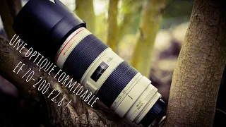 CANON EF 70-200mm L f2.8is ii - UNE OPTIQUE FORMIDABLE