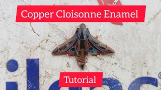 How to Make a Cloisonne Enamel Sphinx Moth Pendant, Using Copper. (tutorial)