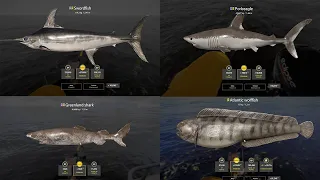 Russian fishing 4~ Rf4-Huge Silver Farm FT Swordfish, Porbeagle, Greenland Shark and more