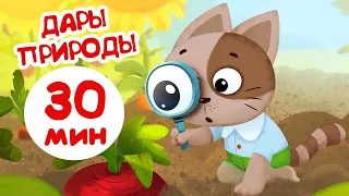 Бурёнка Даша. Дары природы | Песенки и мультфильмы для детей