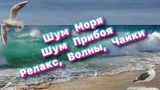 Шум Моря Морской прибой / Релакс видео / крик чаек смотрите на ютуб