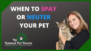 When to Spay and Neuter Your Dog and Cat