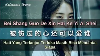 Bei shang guo de xin hai ke yi ai shei