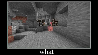 Minecraft wait what meme part 23 (Animals in the cave)